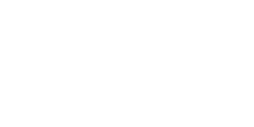 dieZeit-white logo